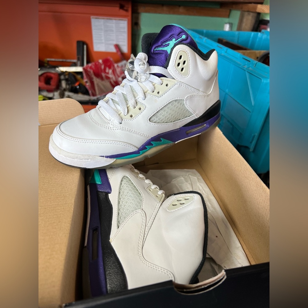 Air Jordan Grape 5